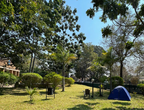 Afternoon Camping Vibes